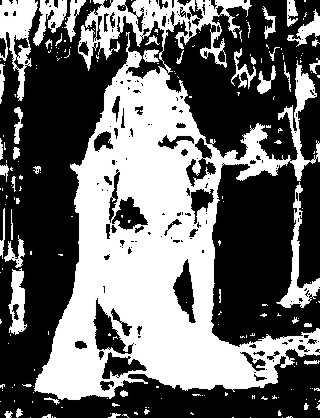 ../../_images/maskhs.jpg