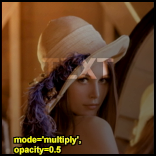 ../../_images/Overlay-example-multiply.png
