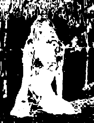../../_images/maskhs-mask.png